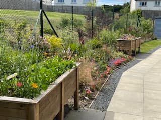 Garden at Woodlands Care Home