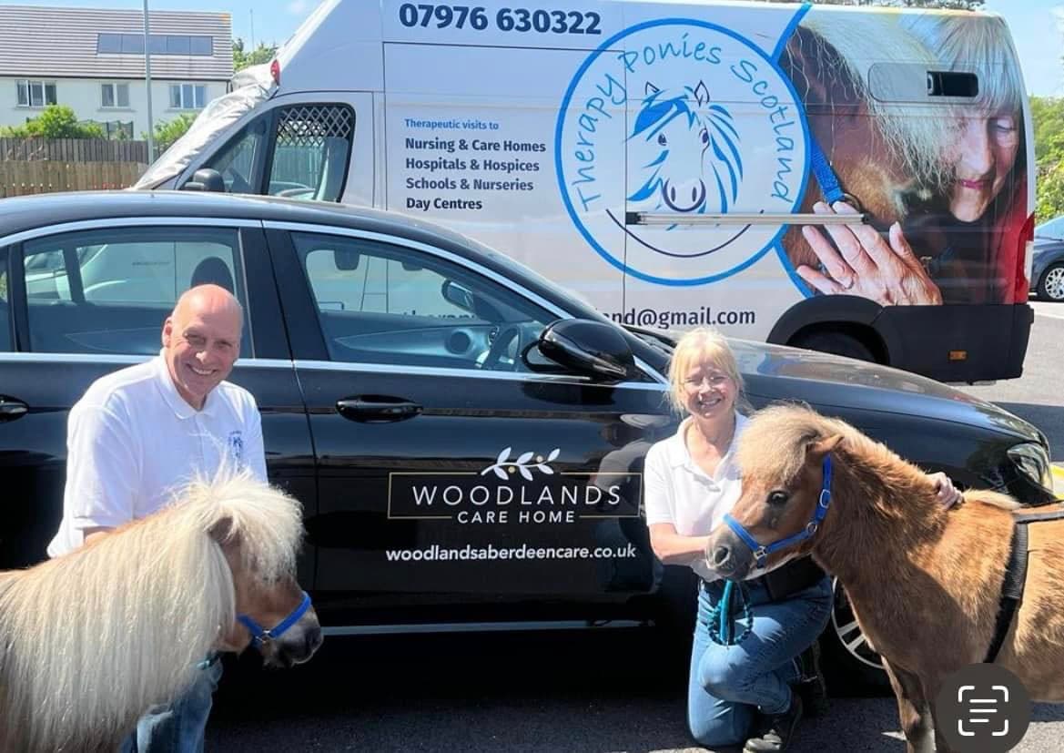 Therapy Ponies Outside with Handlers