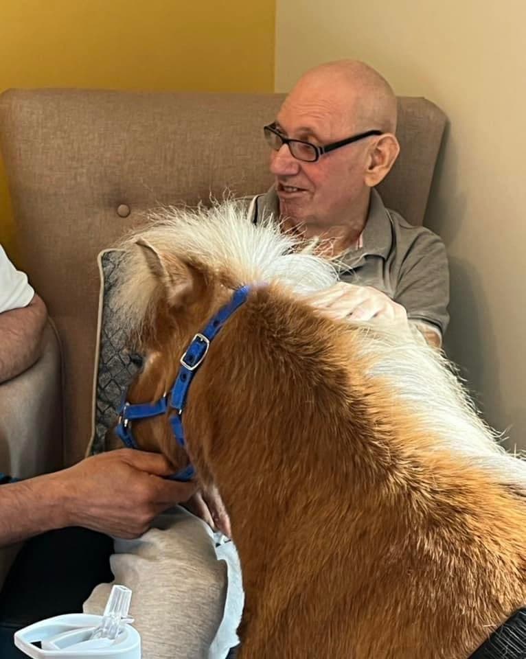 Therapy Ponies 
