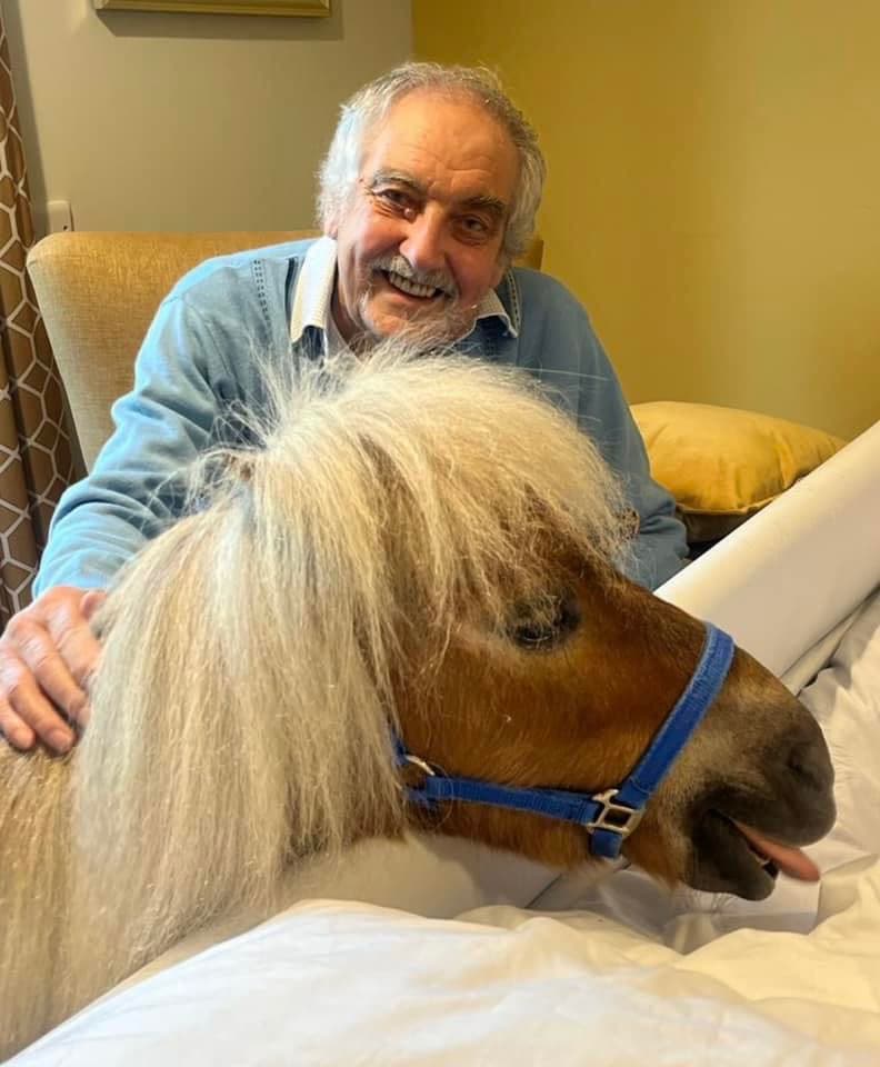 Therapy Ponies 
