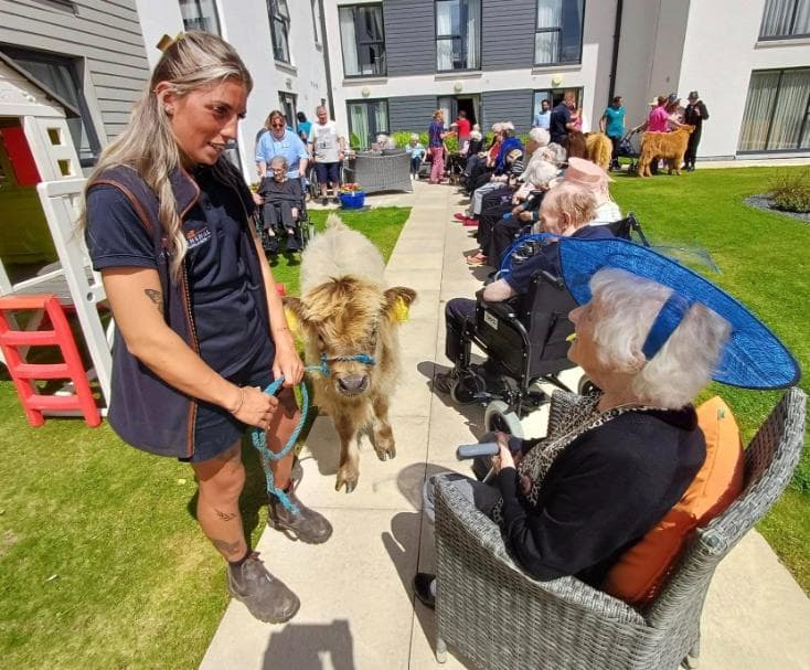 cow-in-the-gardens-meeting-residents