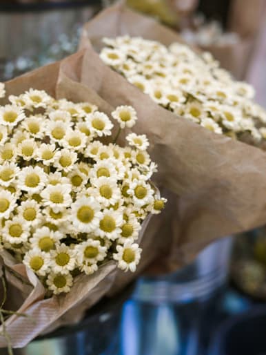 daisies.