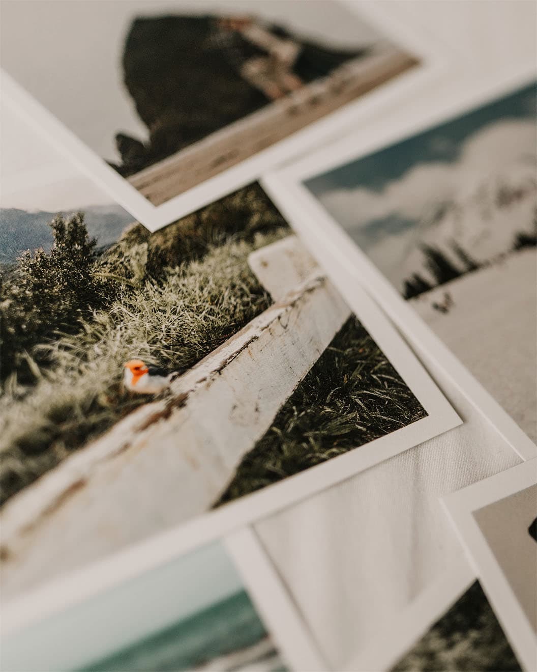 Close Up of Photographs