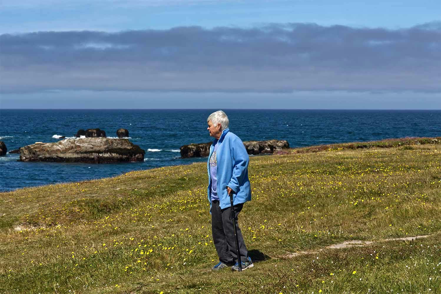 A resident overlooking a coastline