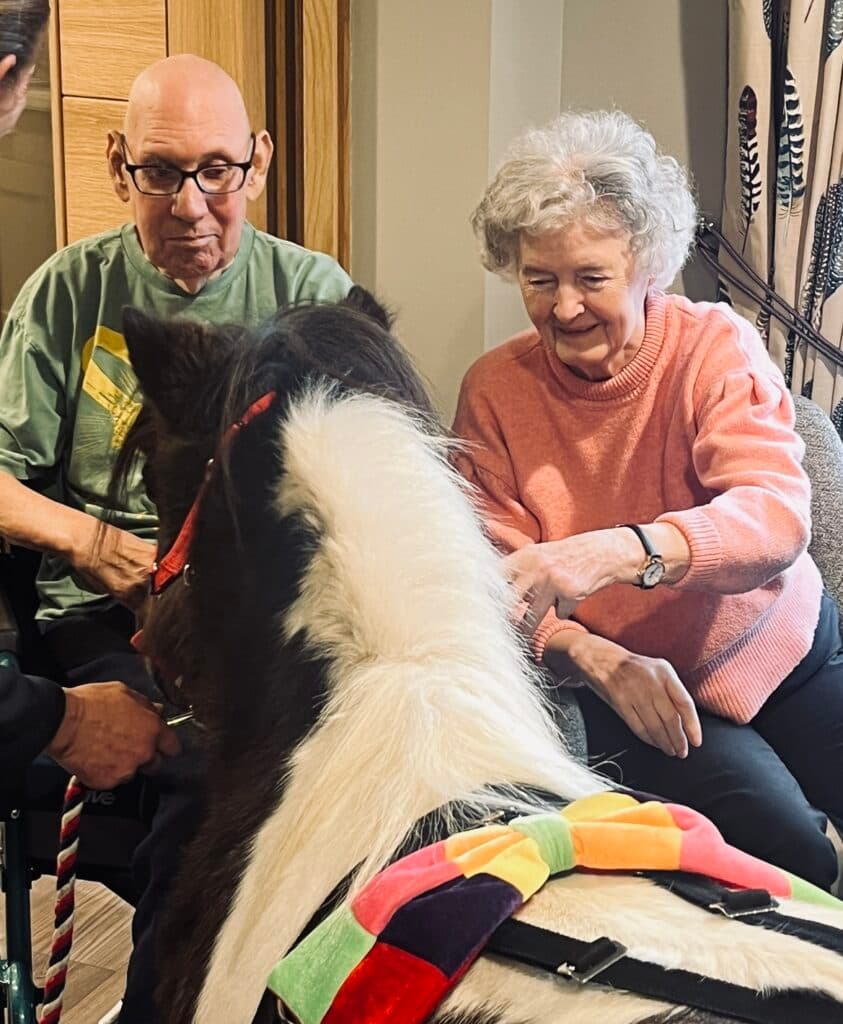 Animal Therapy with Pygmy Goats & Shetland Ponies