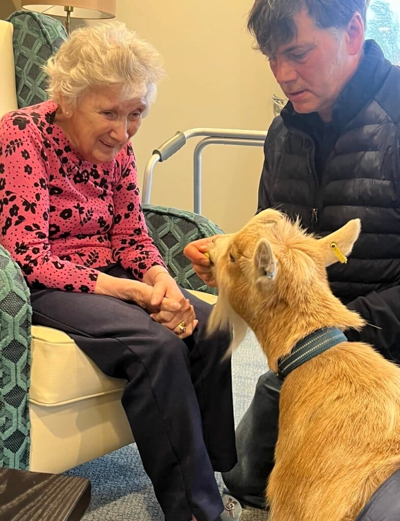Animal Therapy with Pygmy Goats & Shetland Ponies